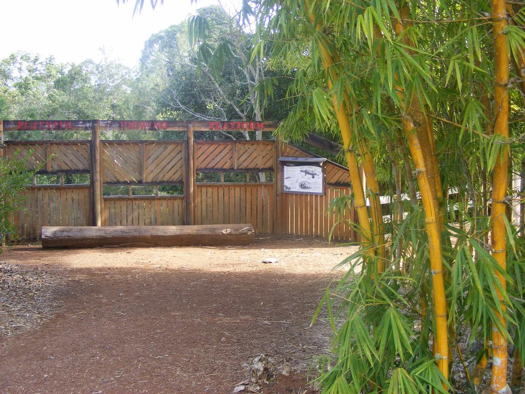 Lake Eacham Tourist Park & Cabins Buitenkant foto