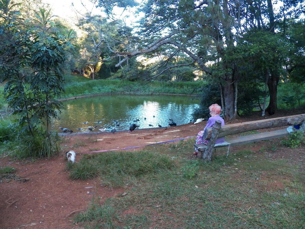 Lake Eacham Tourist Park & Cabins Buitenkant foto