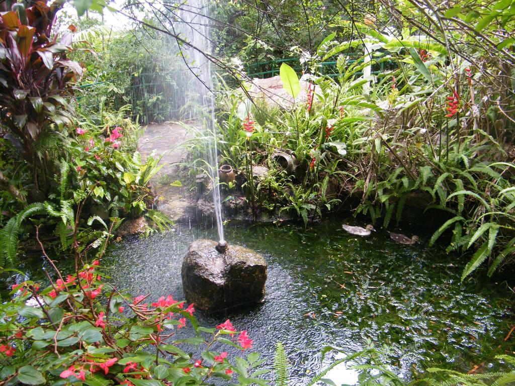 Lake Eacham Tourist Park & Cabins Buitenkant foto
