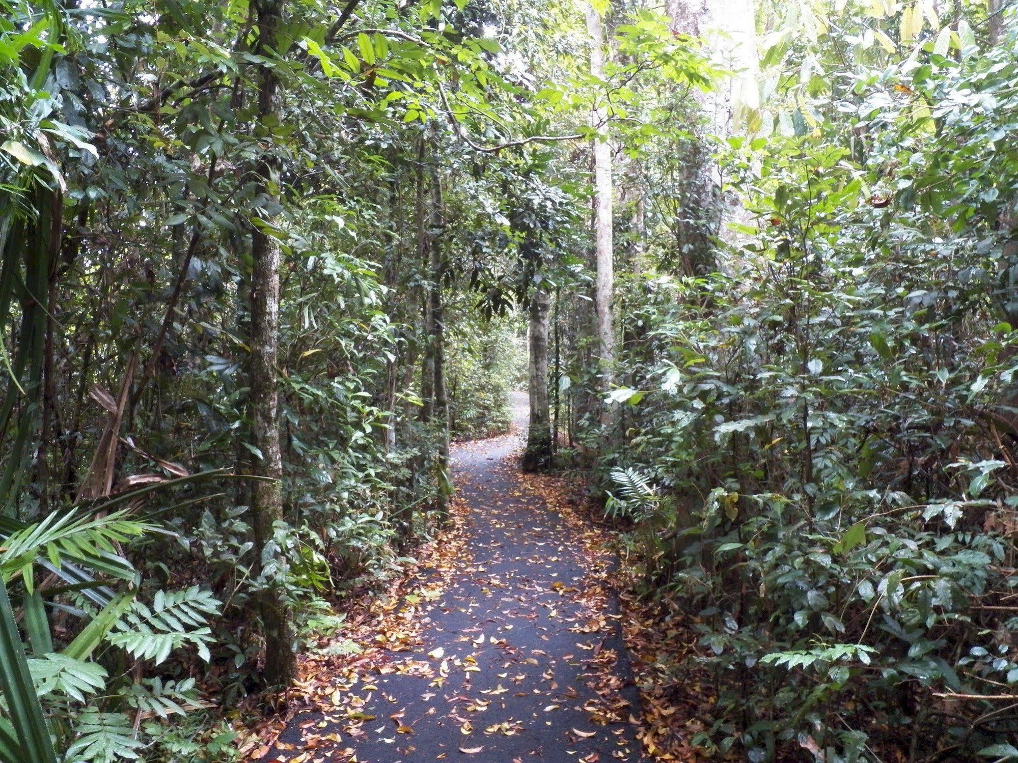 Lake Eacham Tourist Park & Cabins Buitenkant foto