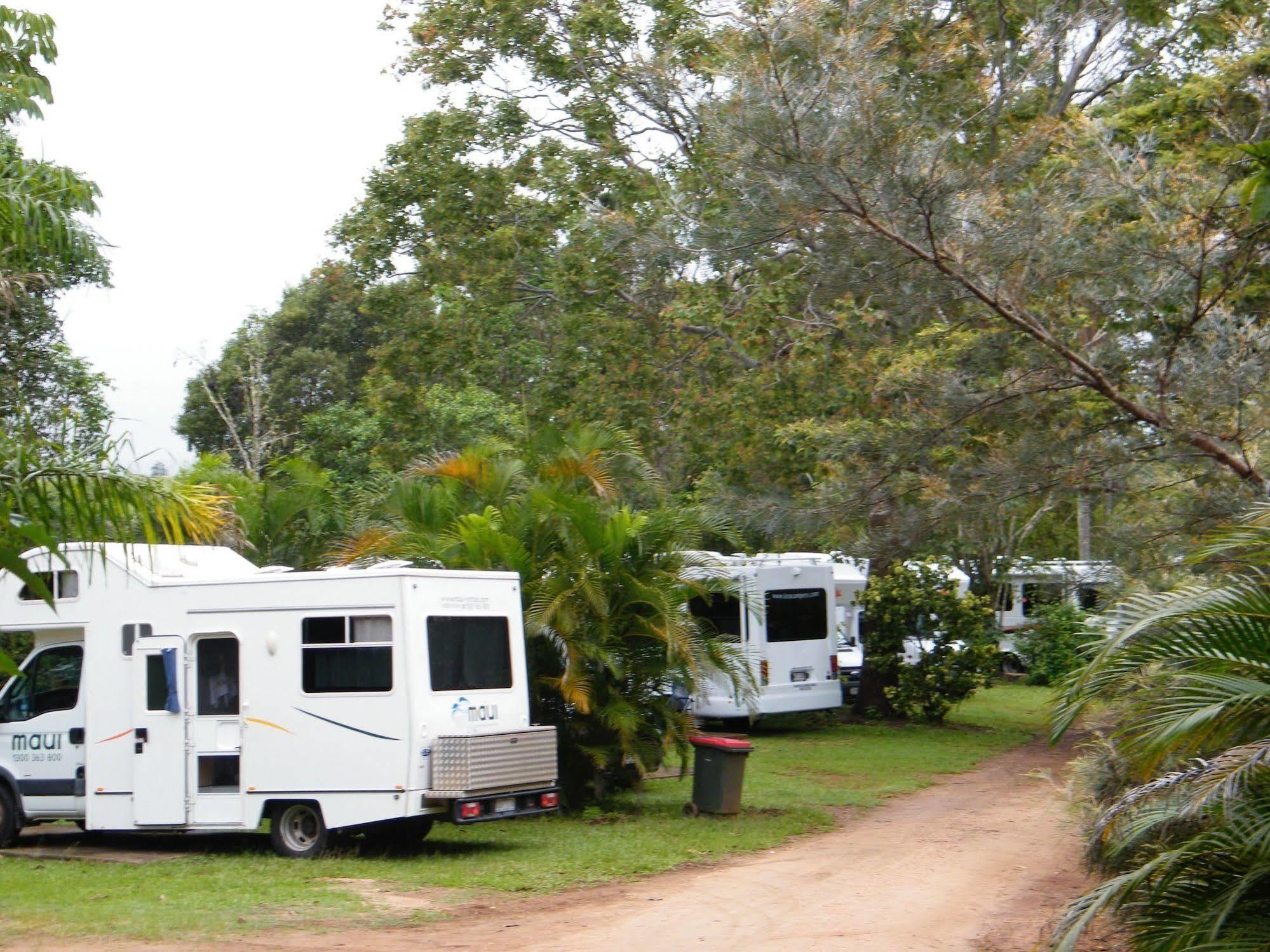 Lake Eacham Tourist Park & Cabins Buitenkant foto