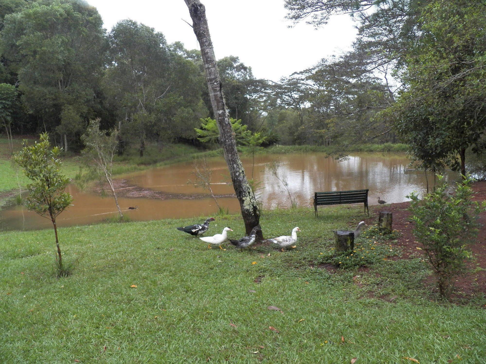 Lake Eacham Tourist Park & Cabins Buitenkant foto